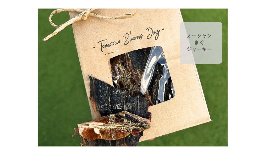 オーシャンまぐジャーキーの商品画像